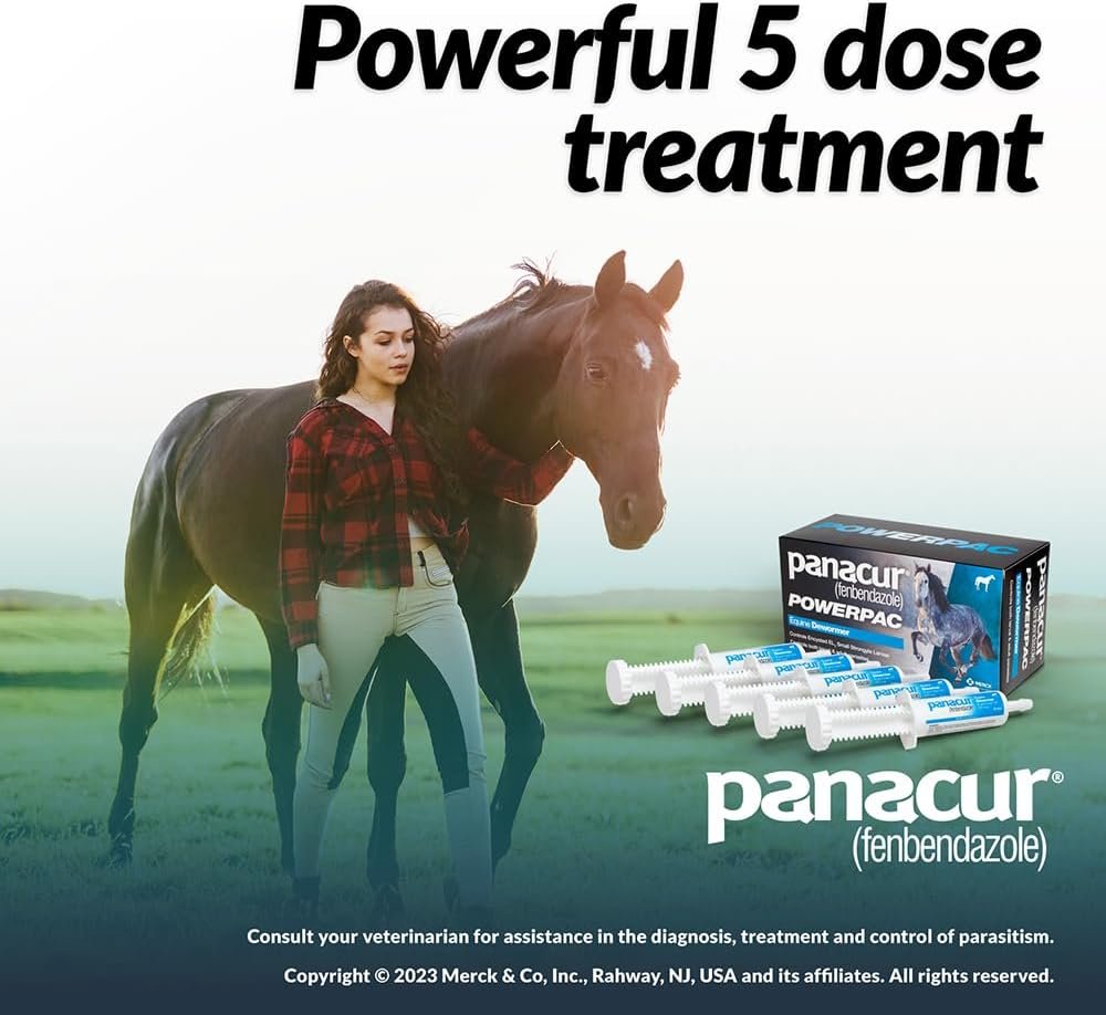 Panacur Natural Deworming Solution for Horses – Pack of 1 - Image 3