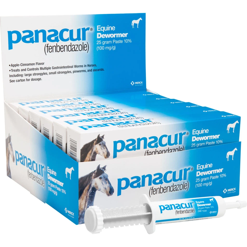 Panacur Pack of 6